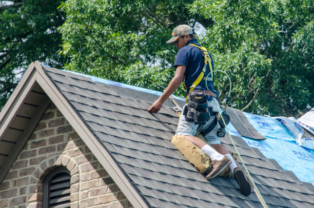 Best Roof Maintenance Services  in Eureka, CA
